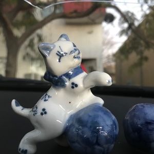 Adorable kitten ‘s